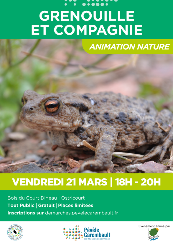 a3_sortie_nature_-sortie_nature_grenouille_et_compagnie