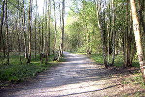 Forêt domaniale de l'Offlarde